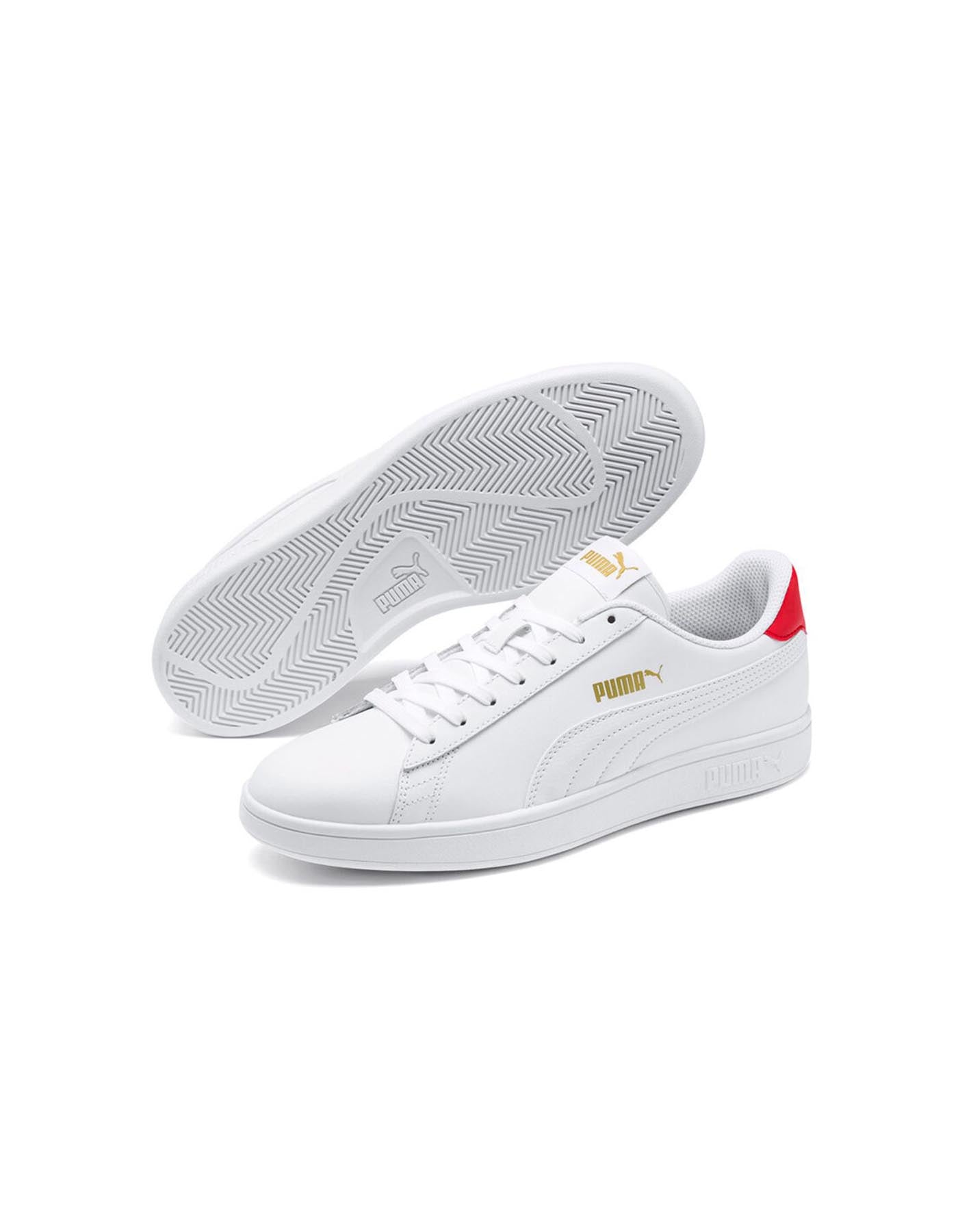 Tenis Puma Hombre 365215 17