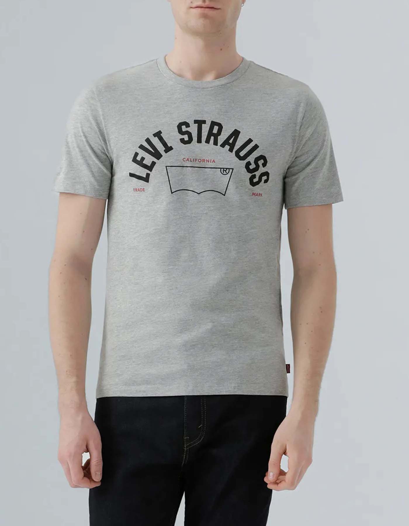 Camiseta Levis Hombre 234304