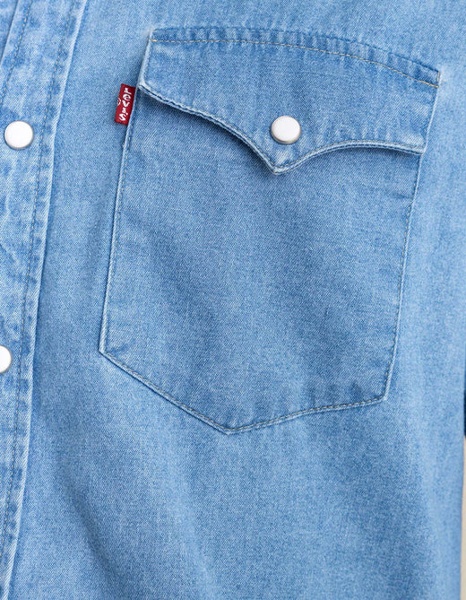 Camisa Levis Hombre 233019