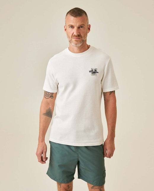 Camiseta Chevignon Hombre 641H006-110606