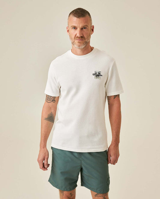 Camiseta Chevignon Hombre 641H006-110606