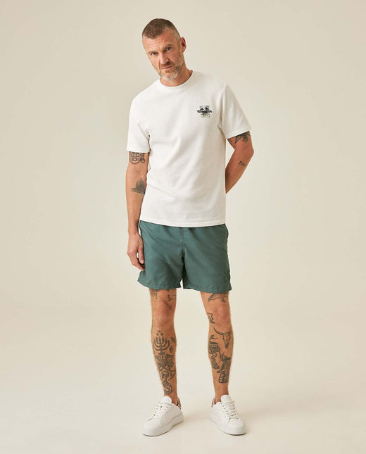 Camiseta Chevignon Hombre 641H006-110606