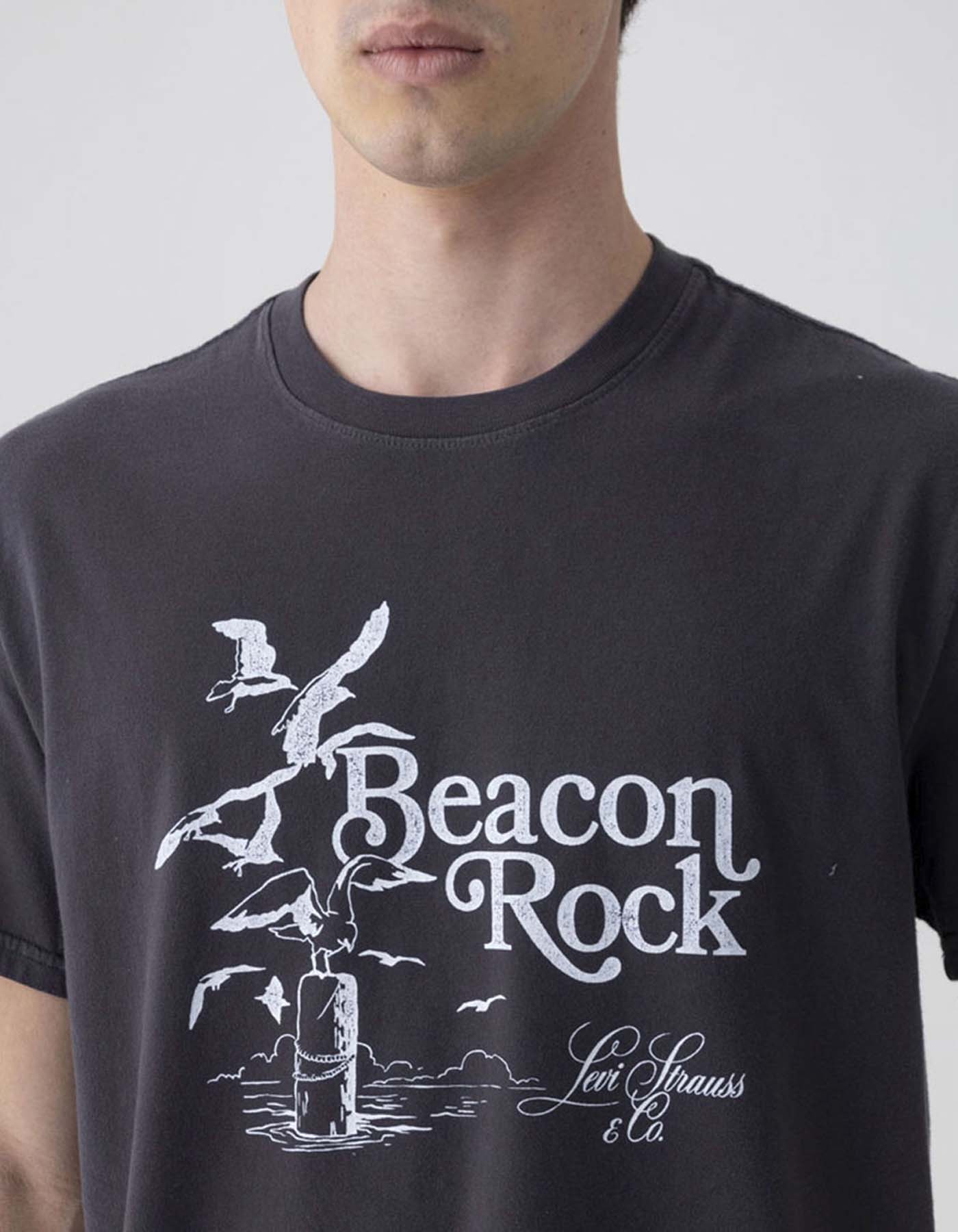 Camiseta Levis Hombre 234279