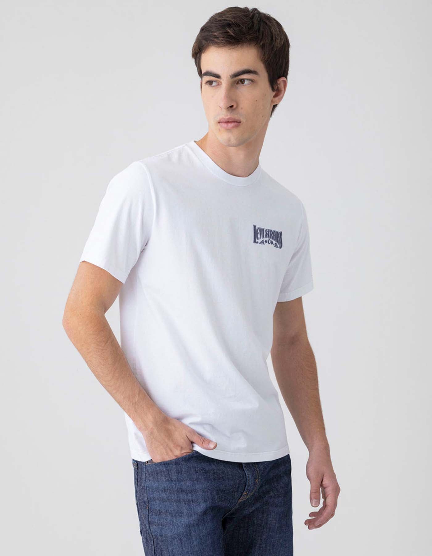 Camiseta Levis Hombre 234289