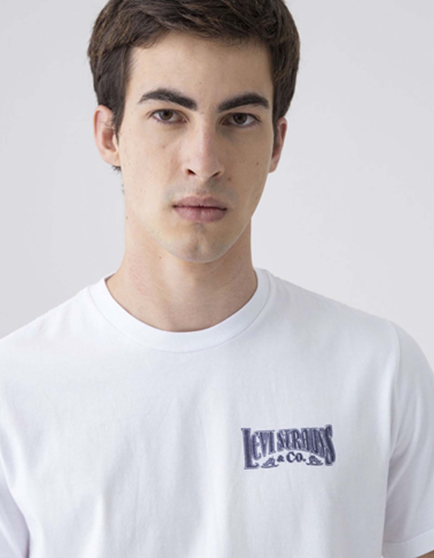 Camiseta Levis Hombre 234289