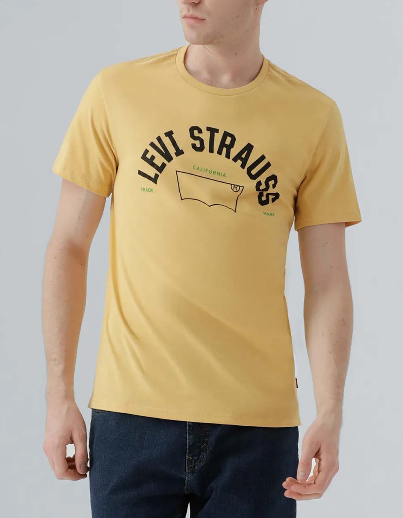 Camiseta Levis Hombre 234302
