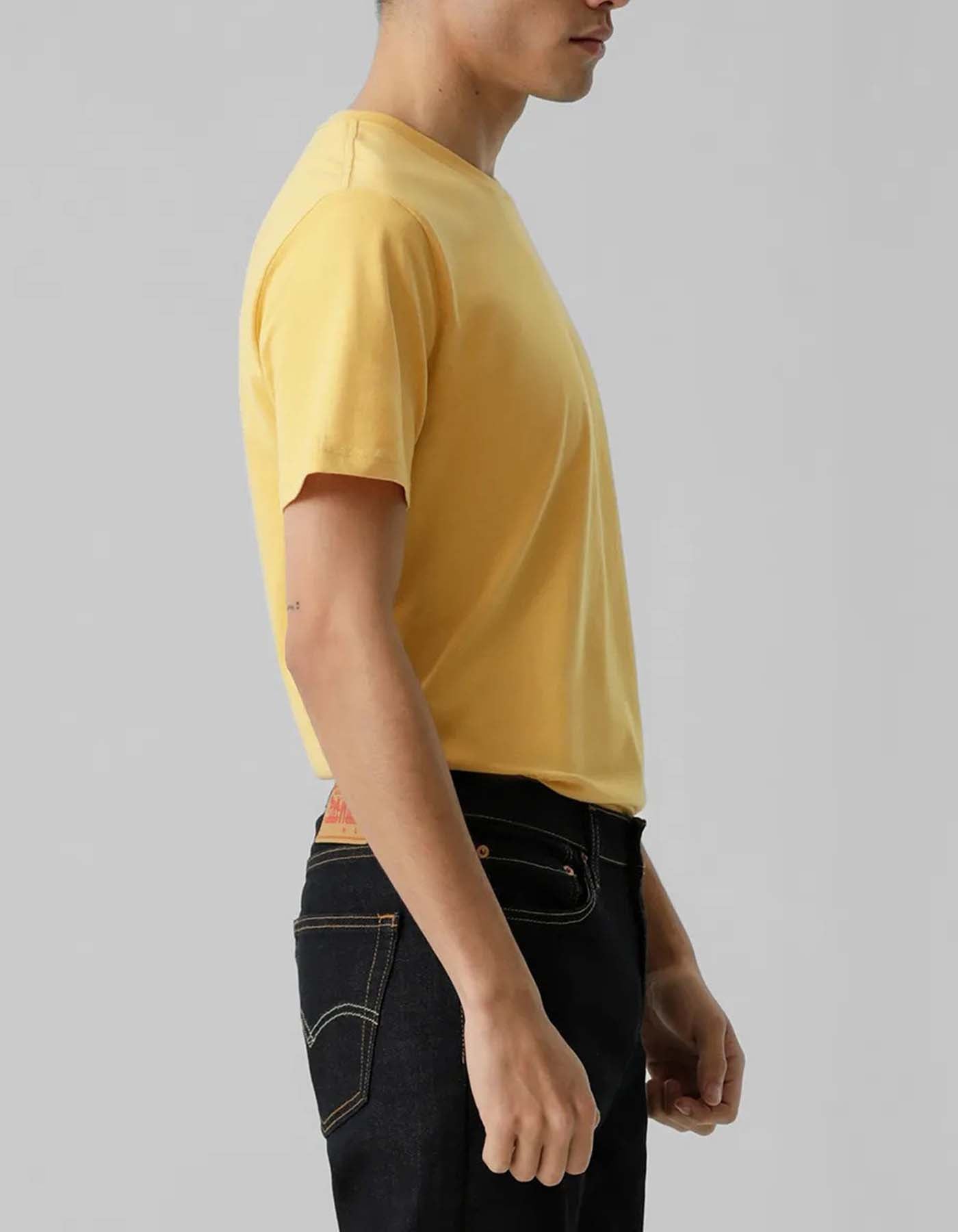Camiseta Levis Hombre 234312
