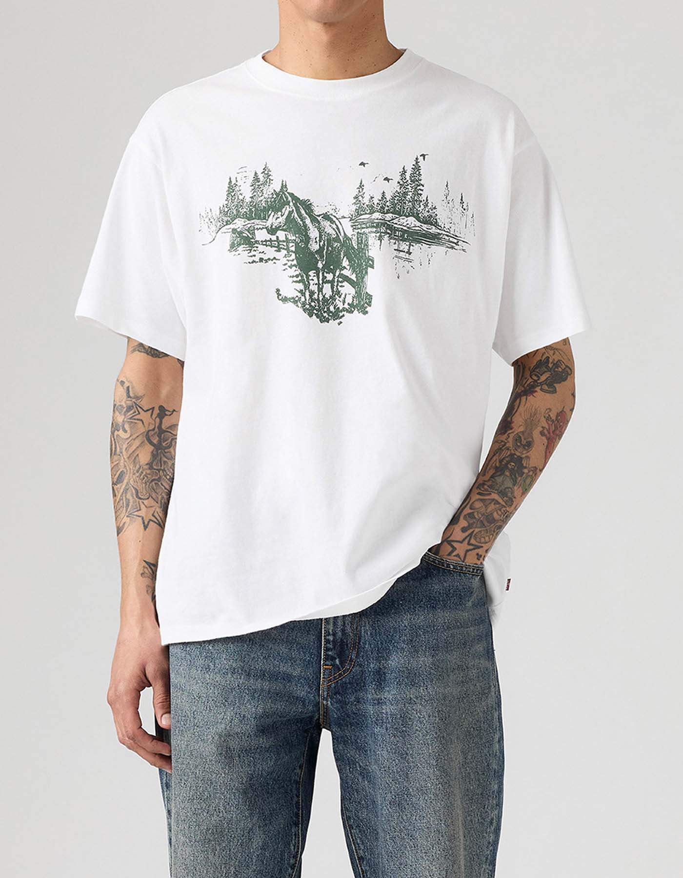 Camiseta Levis Hombre 235610