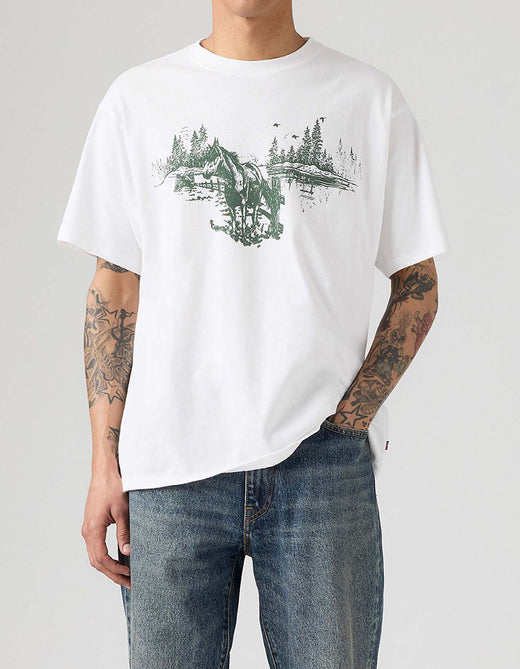 Camiseta Levis Hombre 235610