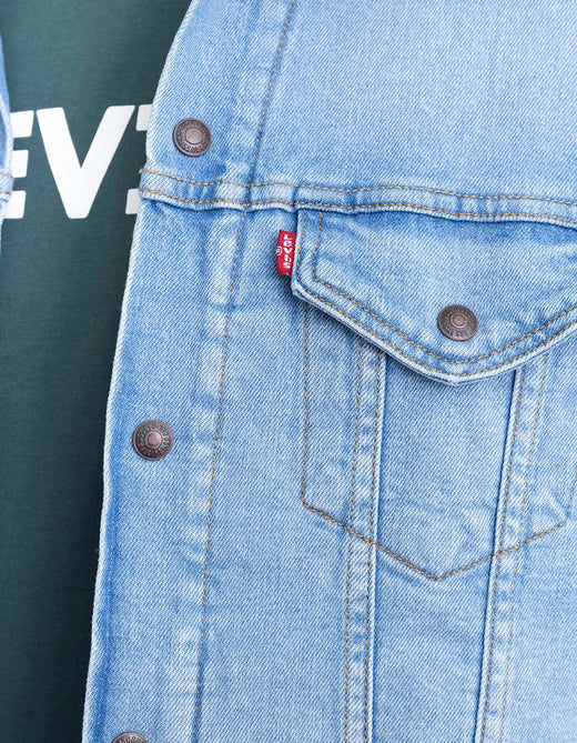 Chaqueta Levis Hombre 232986